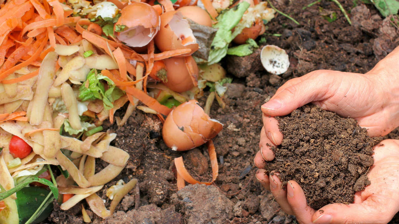 how to compost in an urban environment"